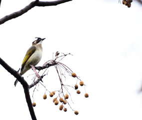 產(chǎn)品研發(fā)